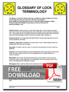 download absolute beginners guide